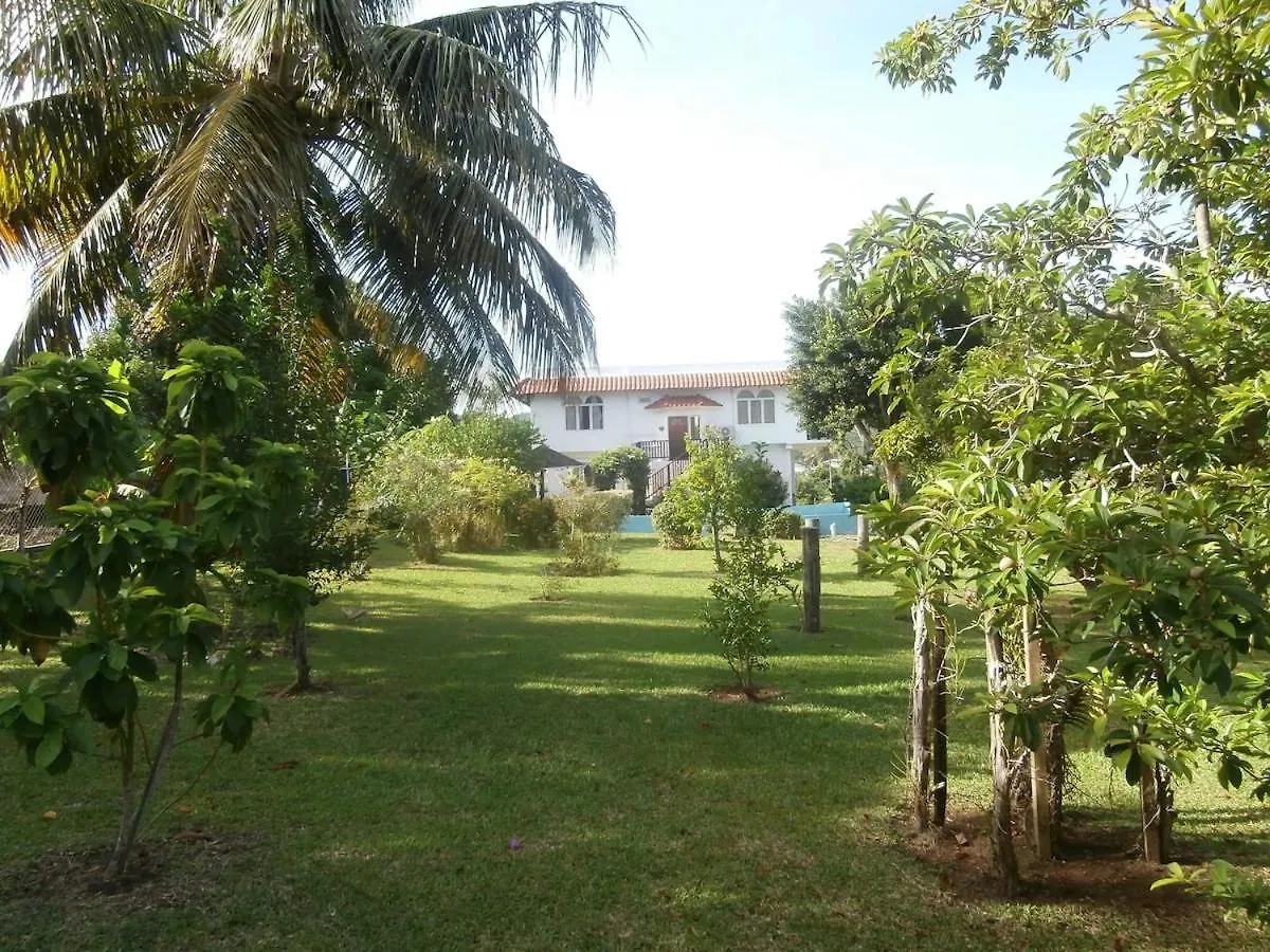 Casa Clara - A Bright & Spacious Holiday Retreat Scarborough Villa
